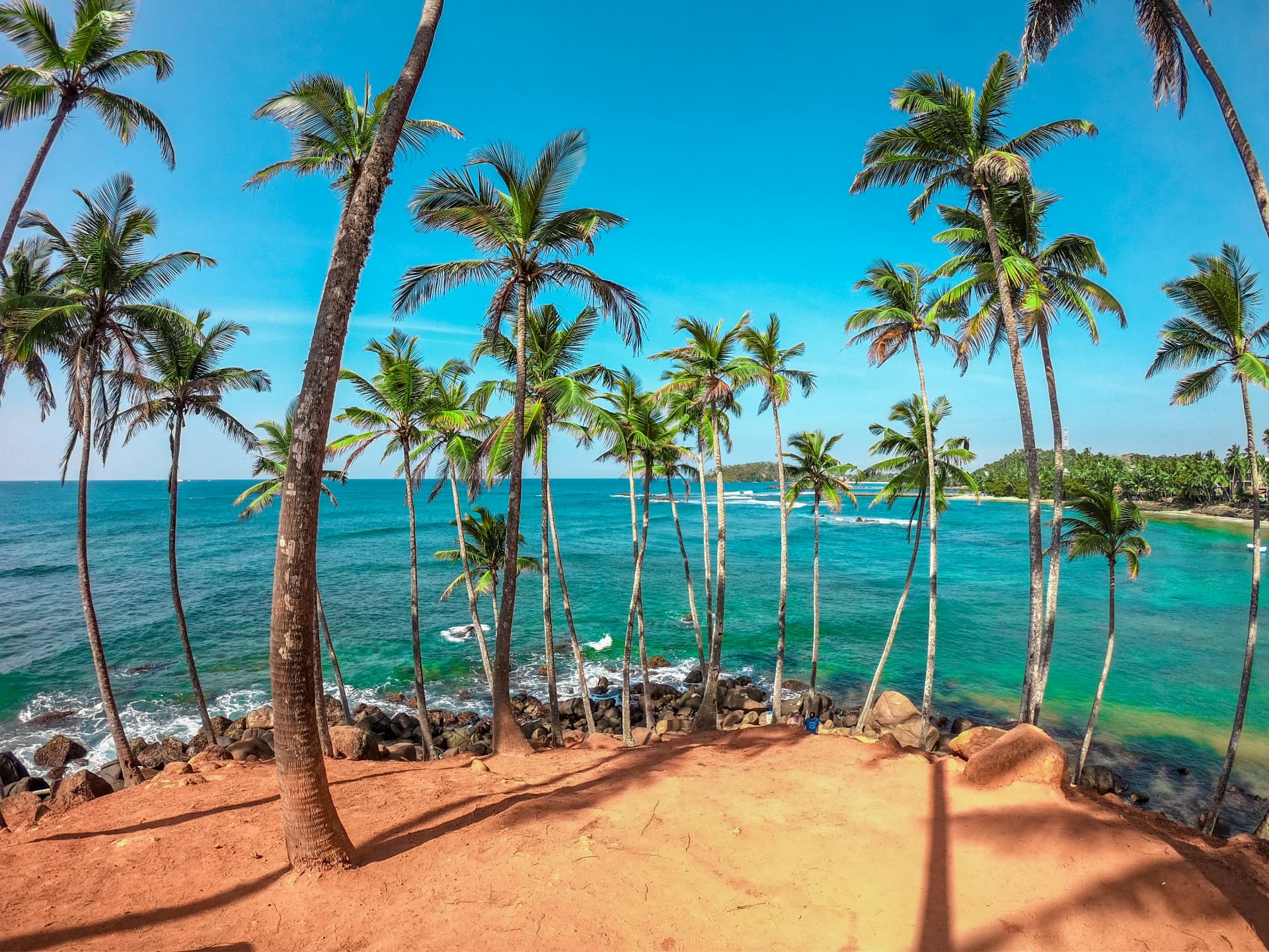 Palm trees above a turquoise bay on Sri Lanka's southern coast